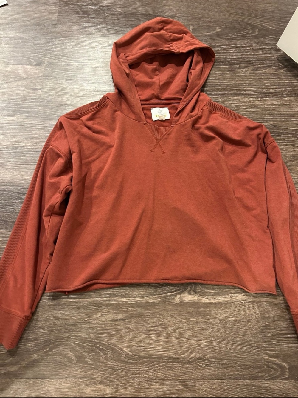 Aerie offline hoodie